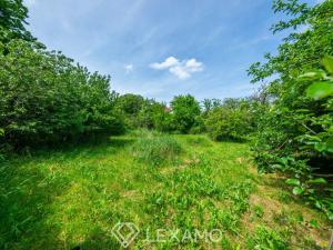 Prodej pozemku pro bydlení, Horní Újezd, 1087 m2