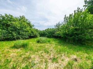 Prodej pozemku pro bydlení, Horní Újezd, 1087 m2