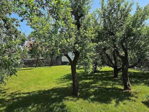 Prodej rodinného domu, Drásov, 60 m2