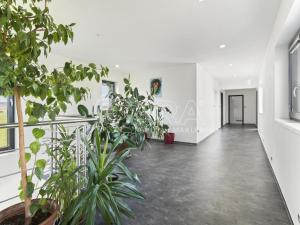 Prodej rodinného domu, Malá Hraštice - Velká Hraštice, 350 m2