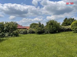 Prodej zahrady, Soběhrdy, 1202 m2