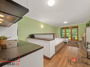Prodej bytu 1+kk, Říčky v Orlických horách, 46 m2