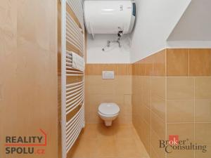 Prodej bytu 1+kk, Říčky v Orlických horách, 46 m2