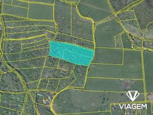 Prodej podílu zahrady, Žitenice, 1116 m2