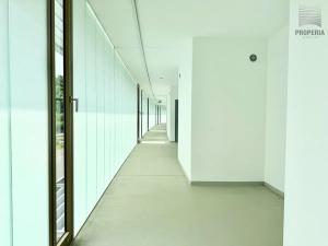 Pronájem bytu 1+kk, Brno, Bystrcká, 27 m2