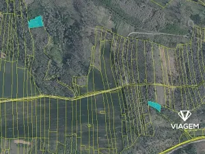 Prodej lesa, Kožichovice, 1248 m2