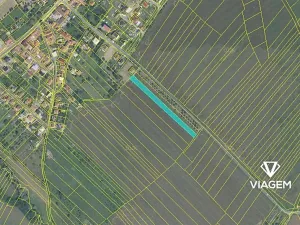 Prodej podílu pole, Opatovice, 1964 m2