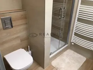Pronájem bytu 1+kk, České Budějovice, B. Smetany, 33 m2