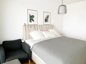 Pronájem bytu 4+kk, Praha - Vinohrady, Korunní, 129 m2