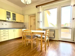 Prodej rodinného domu, Hodonín, Masarykovo nám., 260 m2