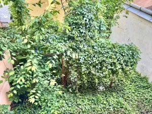 Prodej rodinného domu, Hodonín, Masarykovo nám., 260 m2