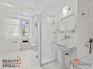 Pronájem bytu 2+kk, Trutnov, Švábenicova, 67 m2