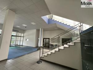 Prodej skladu, Chomutov, Pražská, 30000 m2