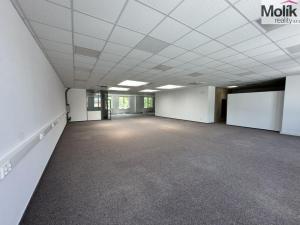 Prodej skladu, Chomutov, Pražská, 30000 m2