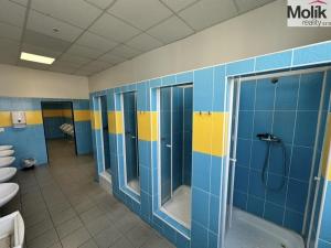 Prodej skladu, Chomutov, Pražská, 30000 m2