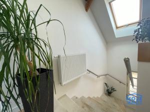 Pronájem bytu 3+kk, Plzeň - Božkov, Božkovské náměstí, 90 m2