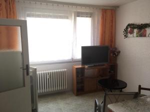 Pronájem bytu 1+1, Děčín - Děčín IX-Bynov, Na Pěšině, 36 m2