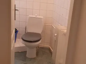 Pronájem bytu 2+kk, Bořislav, 45 m2