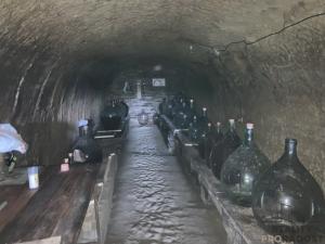 Prodej vinného sklepa, Chvalovice, 20 m2