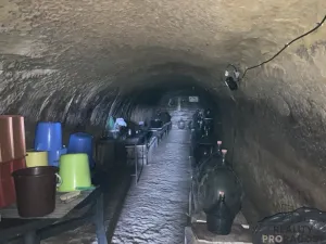 Prodej vinného sklepa, Chvalovice, 20 m2