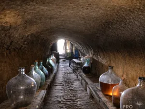 Prodej vinného sklepa, Chvalovice, 20 m2