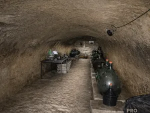 Prodej vinného sklepa, Chvalovice, 20 m2