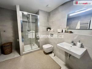Pronájem bytu 3+kk, Kralupy nad Vltavou - Lobeček, J. Wolkera, 64 m2