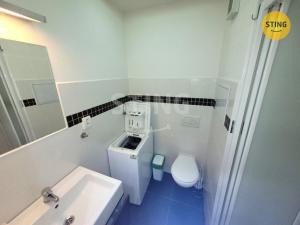 Pronájem bytu 1+kk, Opava, Hobzíkova, 26 m2
