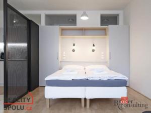 Pronájem bytu 1+kk, Liberec - Liberec I-Staré Město, Sokolská, 47 m2