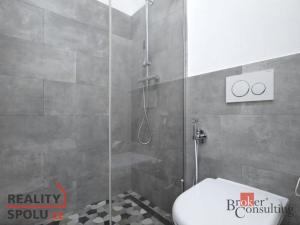 Pronájem bytu 1+kk, Liberec - Liberec I-Staré Město, Sokolská, 47 m2