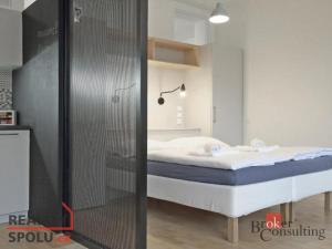 Pronájem bytu 1+kk, Liberec - Liberec I-Staré Město, Sokolská, 47 m2