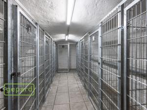Pronájem bytu 2+kk, Velké Přílepy, Pražská, 46 m2