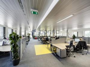 Pronájem obchodního prostoru, Praha, Nádražní, 539 m2
