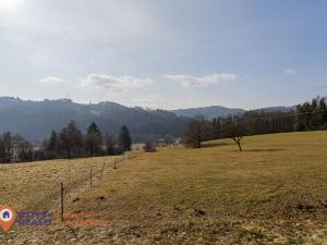 Prodej zahrady, Nemile, 6237 m2