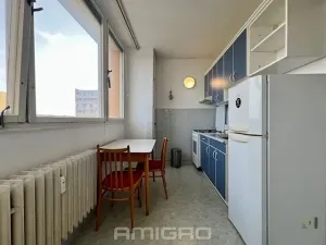 Pronájem bytu 1+1, Brno, Loosova, 36 m2