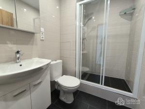 Pronájem bytu 1+1, Sokolov, Závodu míru, 35 m2