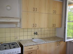 Prodej bytu 2+1, Krnov, Vodní, 58 m2