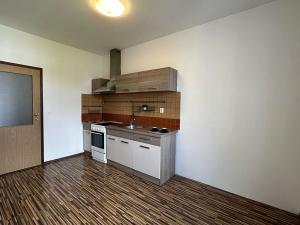 Pronájem bytu 1+1, Brno, Merhautova, 51 m2