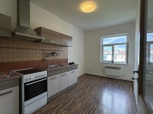 Pronájem bytu 1+1, Brno, Merhautova, 51 m2