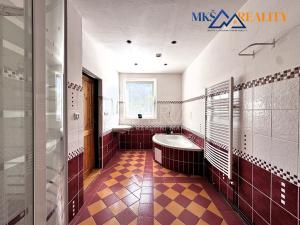 Prodej vícegeneračního domu, Děčín, Za Sadem, 740 m2