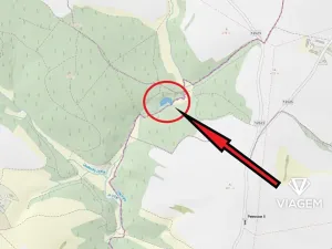 Prodej lesa, Zbizuby, 2112 m2