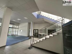 Pronájem skladu, Chomutov, Pražská, 7300 m2