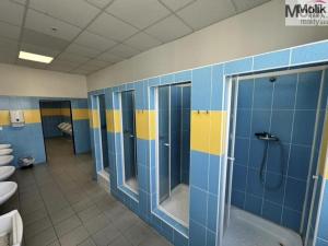 Pronájem skladu, Chomutov, Pražská, 7300 m2