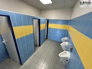 Pronájem skladu, Chomutov, Pražská, 7300 m2