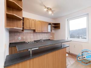 Pronájem bytu 1+kk, Hradec nad Moravicí, Lidická, 37 m2