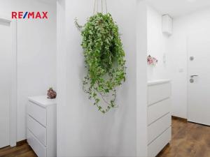 Pronájem bytu 3+1, Praha - Strašnice, Pod strání, 66 m2