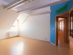 Pronájem rodinného domu, Tábor, Nábřeží, 219 m2