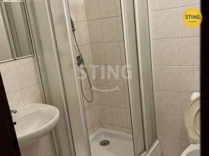 Pronájem bytu 1+kk, Mohelnice, Lazebnická, 35 m2