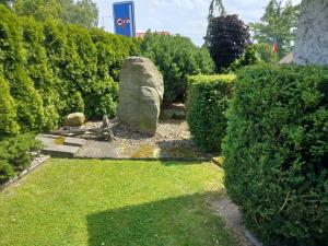 Pronájem bytu 2+kk, Lukavice, 50 m2
