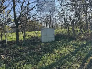 Prodej komerčního pozemku, Hladké Životice, 3073 m2